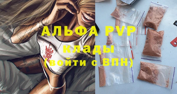 хмурый Абаза