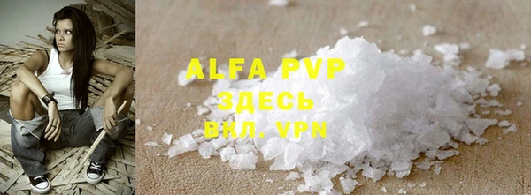 хмурый Абаза