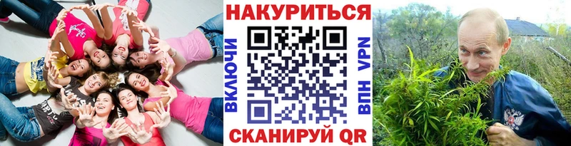 Каннабис OG Kush  Серафимович 